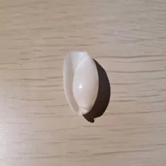 조개 모양의 원통형