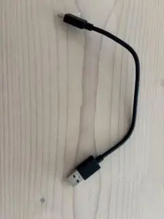 USB-A to USB-C 短い黒ケーブル