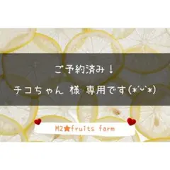 【ꕤ606】不知火デコ【訳あり品☆加工原料】10kg 熊本みかん