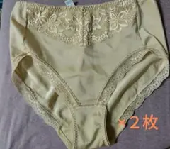 ２枚　トリンプ　レディース　補正下着　ベージュ　ＬＬのサムネイル