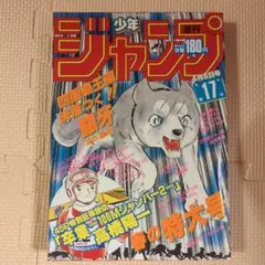 希少】週刊少年ジャンプ 1985年49号 銀牙流れ星銀 - メルカリ