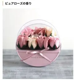 Item thumbnail for item a7f97825-6ceb-4f33-9932-1747f4489df0