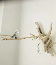 Item thumbnail for item 49a5540a-6ea0-4eea-be66-3c85cc658b76