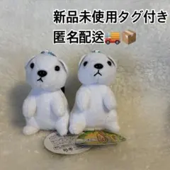 オコジョ キーホルダー アクセサリー - メルカリ