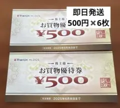 YAMADA HLDGS. お買物優待券 ¥500 6枚セット　ヤマダデンキ