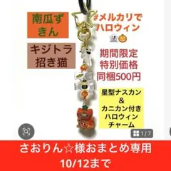 さおりん☆様おまとめ専用10/12まで