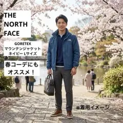 THE NORTH FACE ノースフェイス マウンテンジャケット L ネイビー