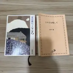 Item thumbnail for item 472295b3-f05d-4787-b30d-93c01794717a