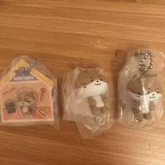 SHINee ミノ ミンホ ダラミン 10cm ドール ぬいぐるみ - メルカリ