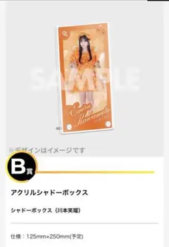 ド*ー様 ラッフル 川本笑瑠　 B賞シャドーボックス