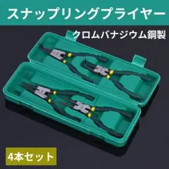 Item thumbnail for item 17739489-7d35-421b-a878-69d9b21e4cf9