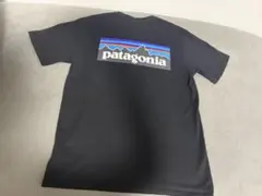 Patagonia ポケット付き半袖Tシャツ ブラックのサムネイル