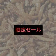 Item thumbnail for item d6d849e3-2bbc-4b89-a538-8edb21037f63