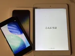 iPhoneSE3 iPadmini2 セット