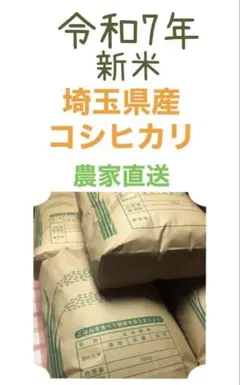2025年産 令和7年産 三重県産コシヒカリ 10kg 10キロ 精米 農家直送