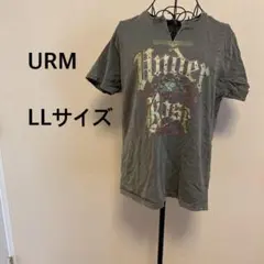 Item thumbnail for item 644c7acd-1dbd-451e-8317-ff21fca47d0d