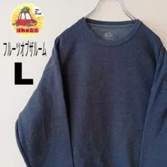 USA古着 FRUITOFTHELOOM スウェット　無地　L　グレー