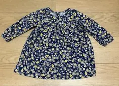 Item thumbnail for item a9831411-6fdd-493e-a27a-e17e0471fe45