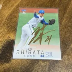 【本日限定価格】柴田獅子 北海道日本ハムファイターズ プリントサイン