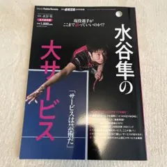 ヴィヴィねこ様 リクエスト 2点 まとめ商品