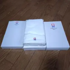 Item thumbnail for item 78d233b5-c1d0-4624-b1d1-efc925a76edb