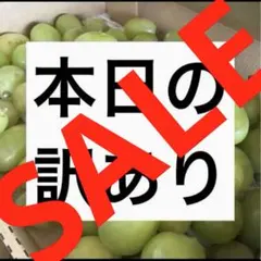 訳ありシャインマスカット‼️本日一箱限り‼️特別価格のサムネイル