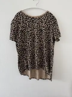 Item thumbnail for item 810a4be7-ccb7-4924-91c6-e728a0ee2dcf