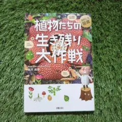 Item thumbnail for item beaec015-e701-4c2a-af2f-0e8e44b8f772