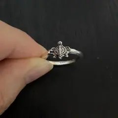 インディアンジュエリー トカゲ silver925 指輪 13号 - メルカリ