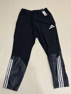 Item thumbnail for item 61a77773-968c-41bd-b415-794e643c9015