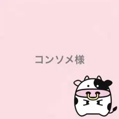 コンソメ様 リクエスト 2点 まとめ商品