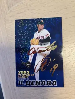 2004プロ野球チップス　スペシャルエディションVOL.1 カルビー2004プロ野球チップス スペシャルエディションVOL.1 G01