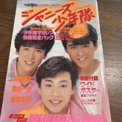 貴重！！！少年隊 錦織一清特大ポスター② 貴重！！！少年隊 錦織一清特大ポスター② アイドル