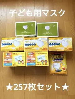 ★子供用マスク 257枚 おまとめ★