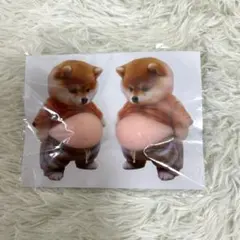 柴犬 3Dシール 左右1組 おなかぷにぷにシールステッカー