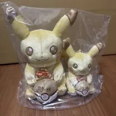 30周年記念 ピカピカ！ピカチュウ ぬいぐるみ＆マスコットセット