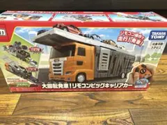 Item thumbnail for item 254d21bc-6d50-4bfc-b77e-5e9077eba544