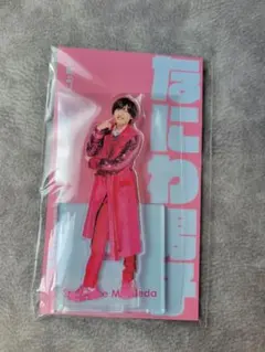 なにわ男子 道枝駿佑 アクスタ fest