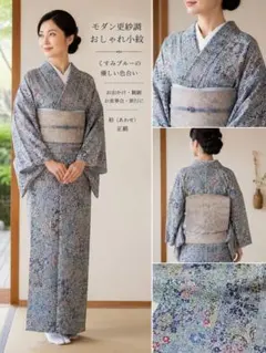 しつけ糸付き未使用 夏用 単衣 絽着物 レディース バチ衿 小紋 訪問着