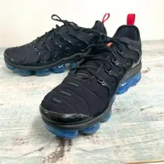 超美品 NIKE 希少色 Vapormax Plus スニーカー 29.5