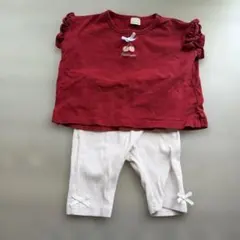 プティマイン tシャツ　七分丈パンツ　上下セット