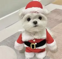 Item thumbnail for item ad381c17-9556-4c75-a56b-1a6a8c8b668f