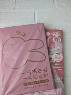 ゼクシィ10月号付録　miffy ミッフィー
miffy ミッフィーマルチケース