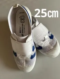 moonstar上履き 25.0 EE ホワイト/ネイビー