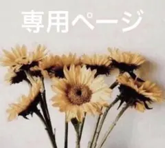 韓国風/枯れない花/モールフラワー/誕生日キラキラ花束ブーケ