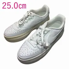 B訳あり品 25.0cm ナイキコート ビジョン アルタDM0113-100