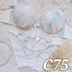 №1166【C75】エアリーフェザーシフォンブラジャー&フルバックショーツ