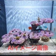人工ライブロック BG02 38×32×20 アク抜き安心塗料使用 - メルカリ
