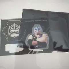 DDT 対戦カード風ランダムアクリルスタンド MJポー