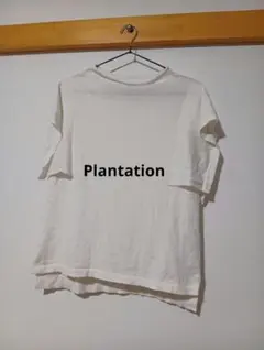 美品 Plantation プランテーション むサマーニット 白 Мのサムネイル